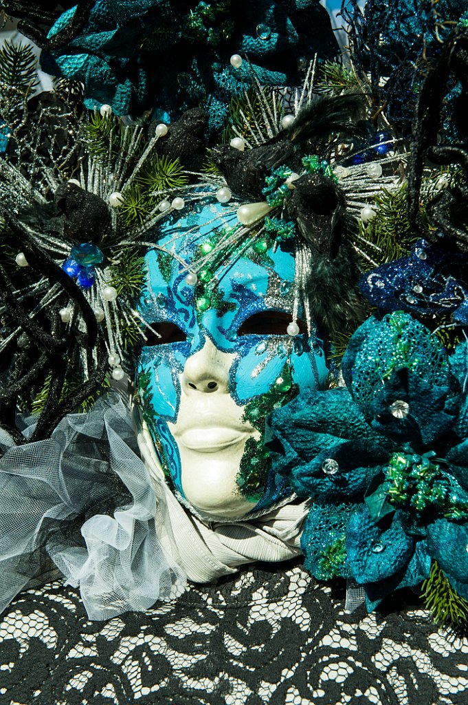 Carnevale Castiglion Fibocchi Febbraio (34).jpg